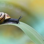 Entschleunigung Wohlbefinden